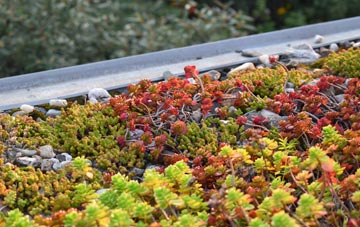 the cost of Star Hill green roof installation