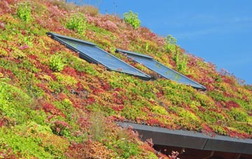 Star Hill living roof systems