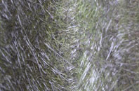 Star Hill fibreglass roof work